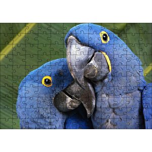 Mavi Macaw Papağanları Çift Puzzle Yapboz Mdf Ahşap 120 Parça