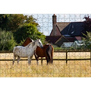 Kahverengi Ve Beyaz Atlar Puzzle Yapboz Mdf Ahşap 255 Parça