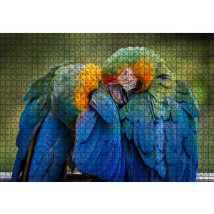 Bir Çift Mavi Macaw Papağanı Puzzle Yapboz Mdf Ahşap 1000 Parça