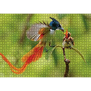 Sinekkapan Kuşu Yavrusunu Besliyor Puzzle Yapboz Mdf Ahşap 1000 Parça