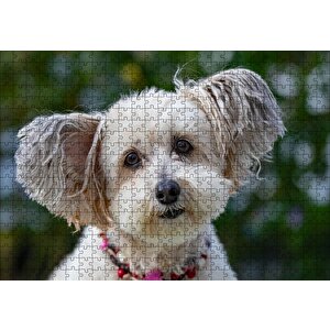 Sevimli Beyaz Terrier Puzzle Yapboz Mdf Ahşap 500 Parça
