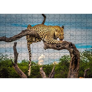 Kuru Dal Üzerinde Yalanan Leopar Görseli Puzzle Yapboz Mdf Ahşap 255 Parça