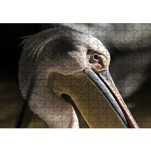 Cakapuzzle  Pelikan Yakın Çekim Puzzle Yapboz Mdf Ahşap