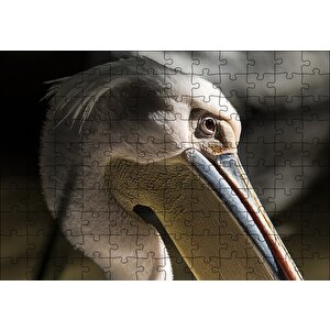 Pelikan Yakın Çekim Puzzle Yapboz Mdf Ahşap 120 Parça