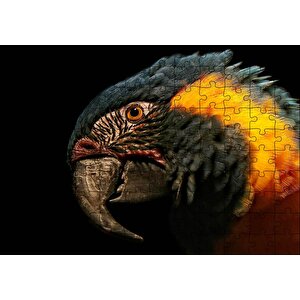 Siyah Arkaplan Turuncu Siyah Macaw Puzzle Yapboz Mdf Ahşap 120 Parça