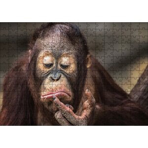 Burnuna Bakan Sevimli Şempanze Puzzle Yapboz Mdf Ahşap 255 Parça
