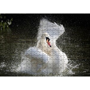 Gölde Kanatlarını Temizleyen Beyaz Kuğu Puzzle Yapboz Mdf Ahşap 255 Parça
