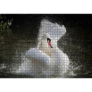 Gölde Kanatlarını Temizleyen Beyaz Kuğu Puzzle Yapboz Mdf Ahşap 1000 Parça