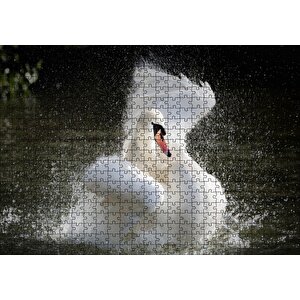 Gölde Kanatlarını Temizleyen Beyaz Kuğu Puzzle Yapboz Mdf Ahşap 500 Parça