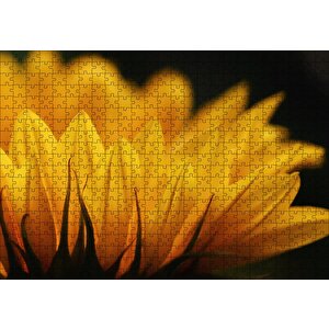 Günebakan Çiçeği Makro Çekim Puzzle Yapboz Mdf Ahşap 500 Parça