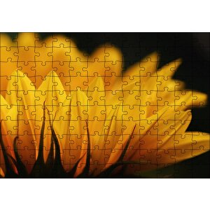 Günebakan Çiçeği Makro Çekim Puzzle Yapboz Mdf Ahşap 120 Parça