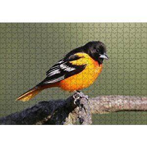 Dalda Turuncu Siyah Egzotik Kuş Puzzle Yapboz Mdf Ahşap 500 Parça