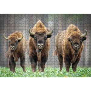 Bieszczady Bizonu Görseli Puzzle Yapboz Mdf Ahşap 500 Parça