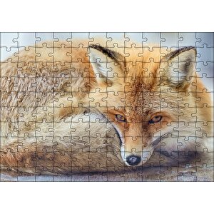 Kahverengi Tilki Kendine Sokulmuş Dinleniyor Puzzle Yapboz Mdf Ahşap 120 Parça