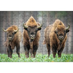 Bieszczady Bizonu Görseli Puzzle Yapboz Mdf Ahşap 120 Parça