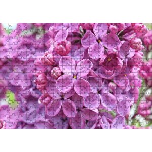 Mor Orkideler Görseli Puzzle Yapboz Mdf Ahşap 255 Parça