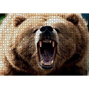 Agresif Boz Ayı Yakın Çekim Puzzle Yapboz Mdf Ahşap 1000 Parça