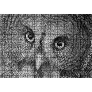 Gri Baykuş Yüz Yakın Çekim Puzzle Yapboz Mdf Ahşap 1000 Parça