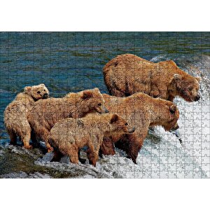 Nehir Kıyısındaki Boz Ayılar Puzzle Yapboz Mdf Ahşap 500 Parça