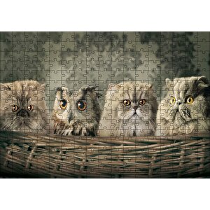 Sepetin İçinde Üç Kedi Ve Bir Baykuş Puzzle Yapboz Mdf Ahşap 255 Parça