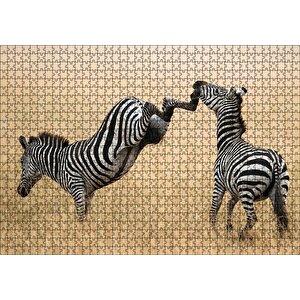 Zebranın Tehlikeli Tekmesi Puzzle Yapboz Mdf Ahşap 1000 Parça