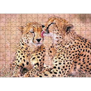 Çita Ailesi Temizleniyor Puzzle Yapboz Mdf Ahşap 255 Parça