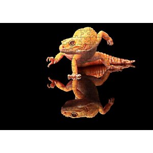 Geko Kertenkelesi Cam Zeminde Karanlık Arka Plan Puzzle Yapboz Mdf Ahşap 255 Parça