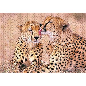 Çita Ailesi Temizleniyor Puzzle Yapboz Mdf Ahşap 500 Parça