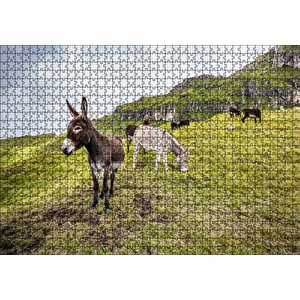 Cakapuzzle Yeşil Tepelerde Otlayan Eşekler Puzzle Yapboz Mdf Ahşap