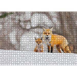 Karlar Üzerinde Kutup Tilkisi Ve Yavrusu Puzzle Yapboz Mdf Ahşap 1000 Parça