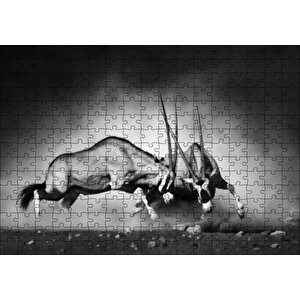 Antilop Kavgası Puzzle Yapboz Mdf Ahşap 255 Parça