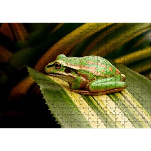 Yeşil Yaprak Üzerindeki Yeşil Kurbağa Puzzle Yapboz Mdf Ahşap 255 Parça