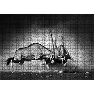 Antilop Kavgası Puzzle Yapboz Mdf Ahşap 1000 Parça