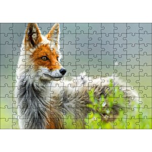 Kızıl Tilki Görseli Puzzle Yapboz Mdf Ahşap 120 Parça