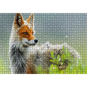 Kızıl Tilki Görseli Puzzle Yapboz Mdf Ahşap 1000 Parça