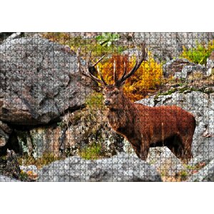 Kayalıklar Ve Boynuzlu Kahverengi Geyik Puzzle Yapboz Mdf Ahşap 1000 Parça