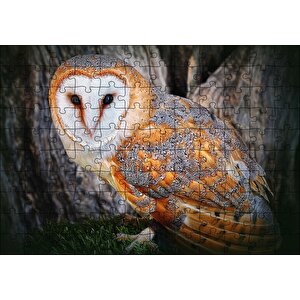 Peçeli Baykuş Türü Puzzle Yapboz Mdf Ahşap 120 Parça