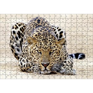 Kumların Üzerinde Pusudaki Leopar Puzzle Yapboz Mdf Ahşap 255 Parça