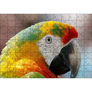 Amerikan Papağanı Puzzle Yapboz Mdf Ahşap 120 Parça
