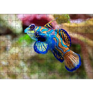 Mavi Mandarin Balığı Puzzle Yapboz Mdf Ahşap 120 Parça
