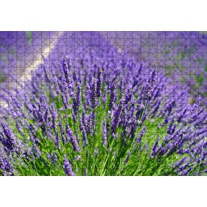 Lavanta Tarlasında Lavantalar Puzzle Yapboz Mdf Ahşap 500 Parça