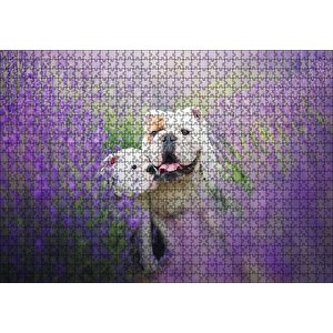 Lavantalar Arasında Bulldoglar Puzzle Yapboz Mdf Ahşap 1000 Parça