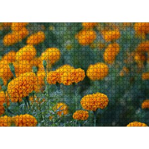 Sarı Karanfiller Görseli Puzzle Yapboz Mdf Ahşap 1000 Parça