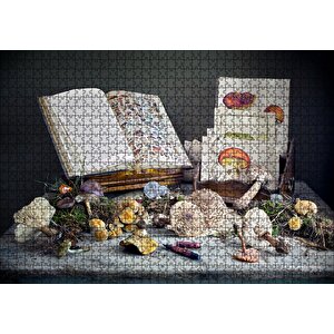 Çeşitli Mantarlar Ve Mantarlara Dair Kitaplar Puzzle Yapboz Mdf Ahşap 1000 Parça