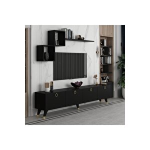 Di̇ena Tv Üni̇tesi̇ 210 Cm