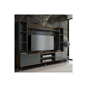 Ceviz Antrasit Mercy Gold Tv Ünitesi 180 Cm
