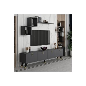 Di̇ena Tv Üni̇tesi̇ 210 Cm