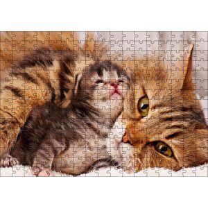 Sevimli Tekir Ve Minicik Yavrusu Yakın Çekim Puzzle Yapboz Mdf Ahşap 255 Parça