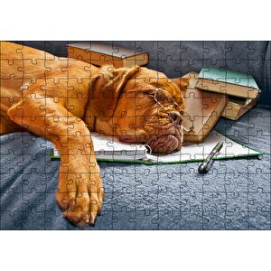 Kitap Defter Kalem Ve Gözlüklü Kahverengi Buldog Puzzle Yapboz Mdf Ahşap 120 Parça