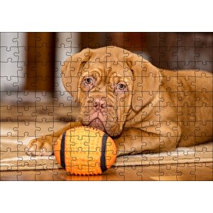 Kahverengi Boxer Yavrusu Ve Turuncu Topu Puzzle Yapboz Mdf Ahşap 120 Parça